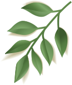 biotizen-institut-epilation-massage-luxopuncture-rennes